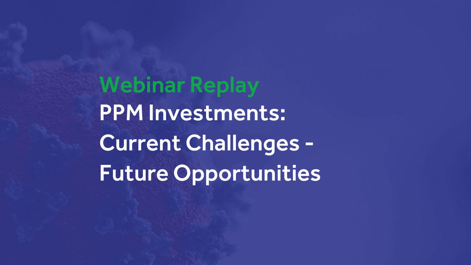 Webinar Replay: PPM Investments