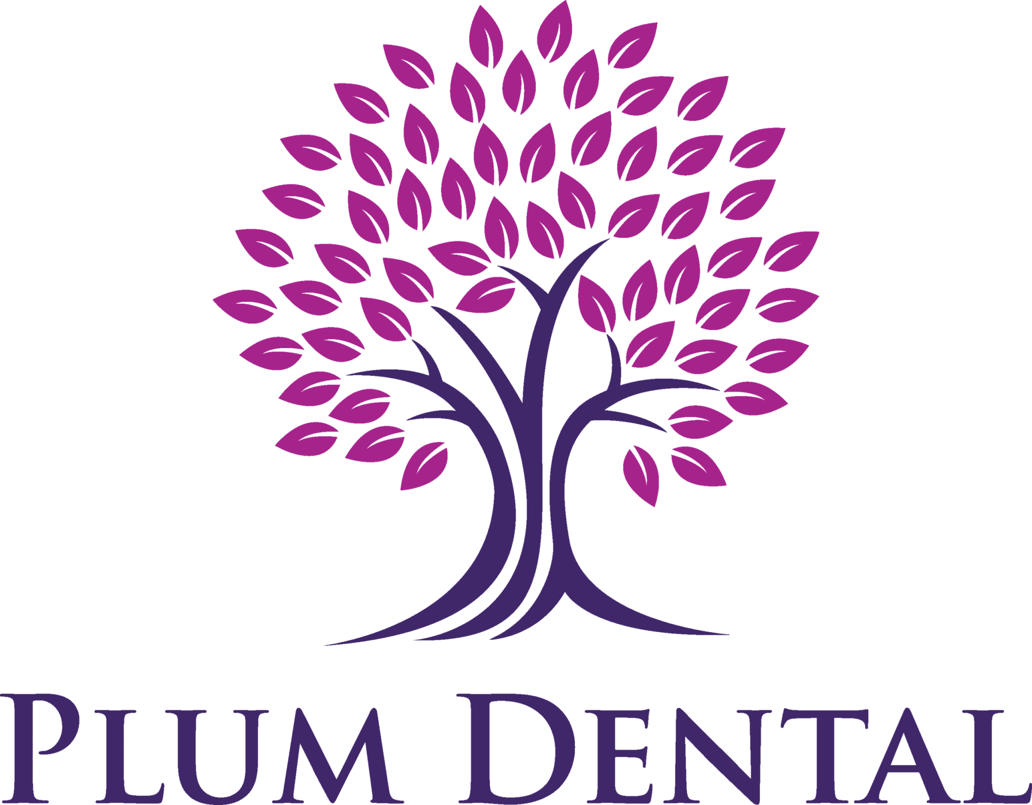 Plum Dental logo SCALE Healthcare